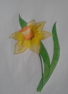 рисунок